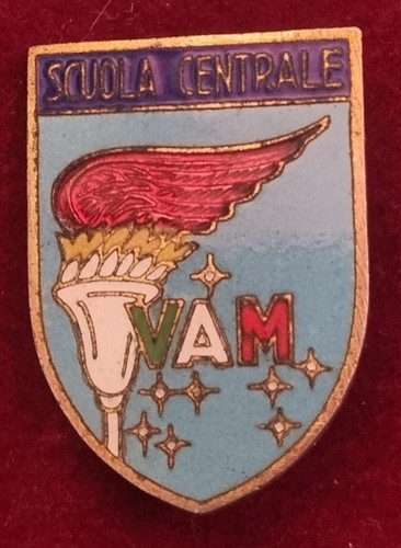Distintivo spilla pins scuola - spilla,