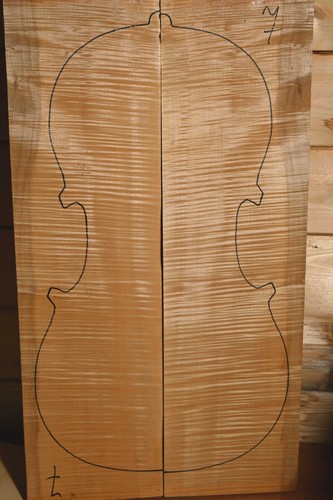 Legno per violoncello - , acero