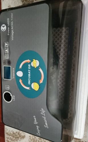 Incubatrice 110v uova - incubatrice,