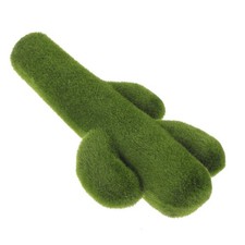  Decorazione di cactus con