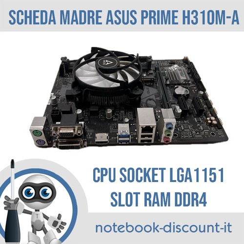 Scheda madre desktop asus - scheda,