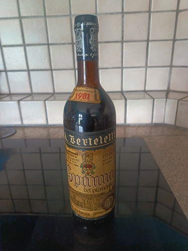 Bottiglia vino spanna 1981 - vino,
