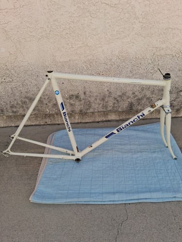 1982 bianchi campione italia - 1982, d'italia
