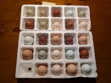 Uova Feconde, Fertili Miste