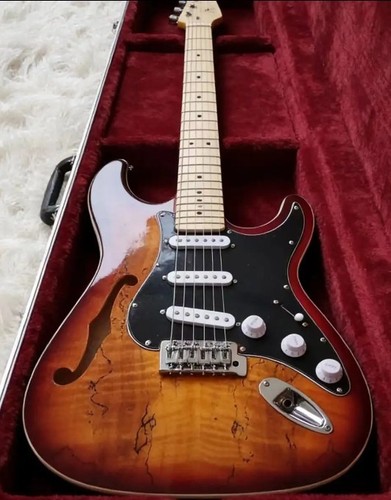 Chitarra elettrica stile strat - chitarra,
