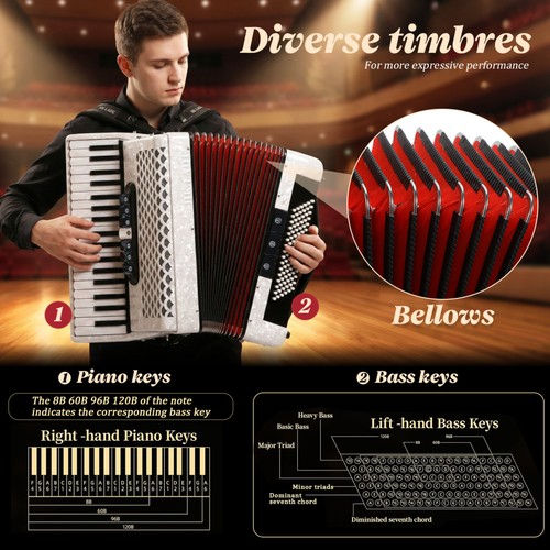 Fisarmonica tasti - 37,