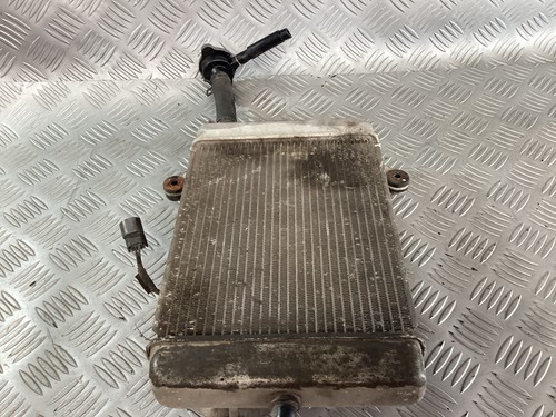 Radiatore acqua honda 300 - radiatore, sh