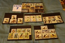 francobolli tematici " uccelli " tutti nuovi con timbro di favore vari paesi