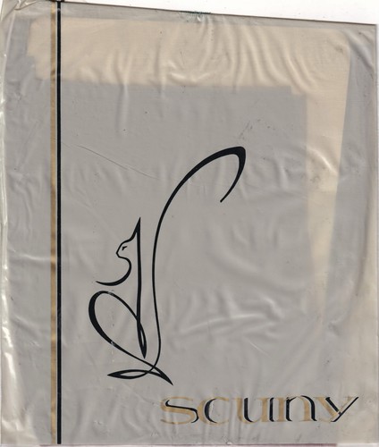Bas nylon scuny coloris café - nylon,