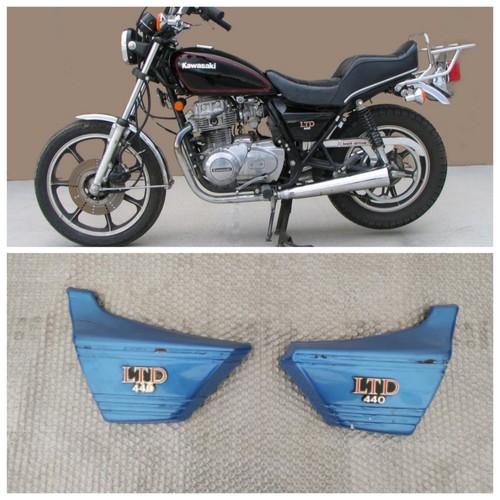 Coppia fianchetti kawasaki - kawasaki, z