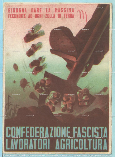 Cartolina propaganda - cartolina,