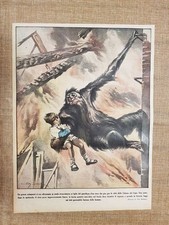 Retrocopertina Illustrazione del Popolo 1930 Scimpanzé bambino Colonia del Capo