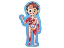 Hape Puzzle Corpo Umano in