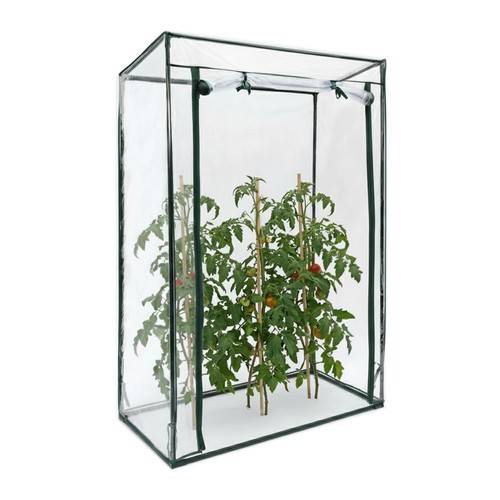 Serra per pomodori con - , tetto