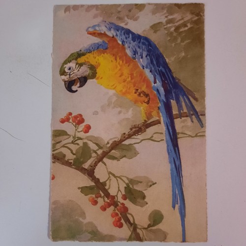 Vendo belle cartoline - vendo,