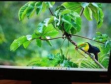 Pc fisso All-in-one 24" Full