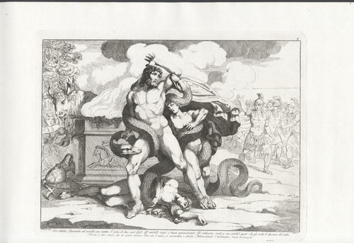 Bartolomeo pinelli lacoonte - pinelli,,