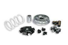 5111397 [MALOSSI] VARIATORE