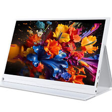 Monitor Portatile 15,6 Pollici