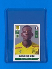 Randal Kolo Muani Rookie