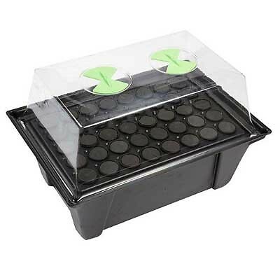 Stream propagator piante - propagator,
