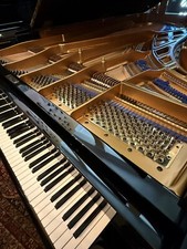 Pianoforte coda concerto - a, da