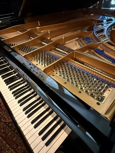 Pianoforte coda concerto - pianoforte, a