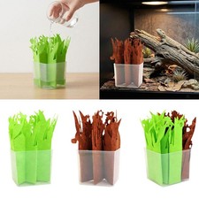 Umidificatore per terrario per