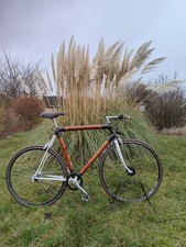 Bicicletta Fixie / Flip-Flop