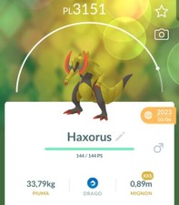 🪶Size xxs Haxorus🪶Legacy