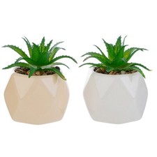 1 pz vaso vasetto piantina