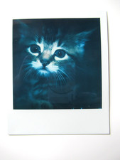 N. ARAKI: POLAROID ORIGINALE