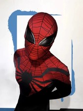 Costume cosplay Spider-Man