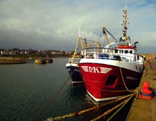Photo 6x4 Fishing boats