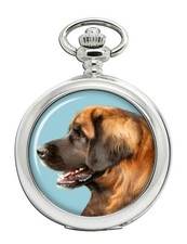Leonberger Cane Orologio da