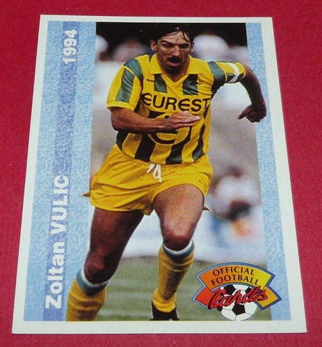 Zoran vulic nantes fcn - fc,