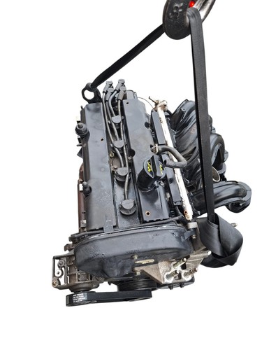 Motore fuja ford fiesta - ford, v
