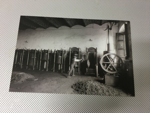 Riproduzione foto alinari - riproduzione,