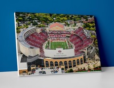 Poster o tela stadio calcio