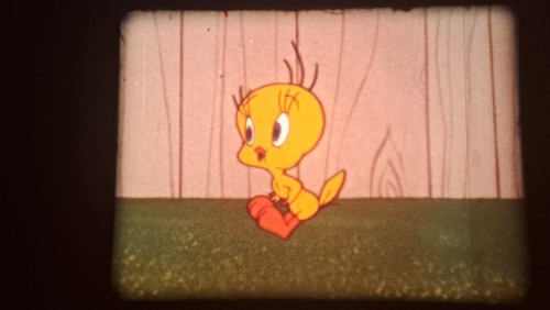 Tweet and lovely - tweet,