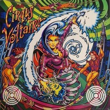 Flipper Cirqus Voltaire