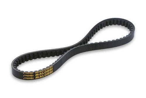 Cinghia special belt - cinghia, malossi