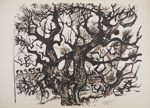 Edouard pignon le vieil - edouard,