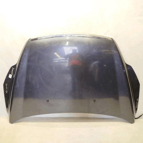 1521601 cofano ant ford - ,
