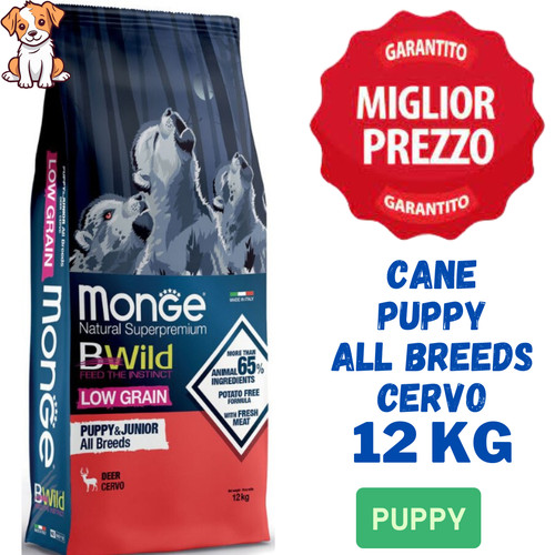 Monge bwild cane puppy - cane,
