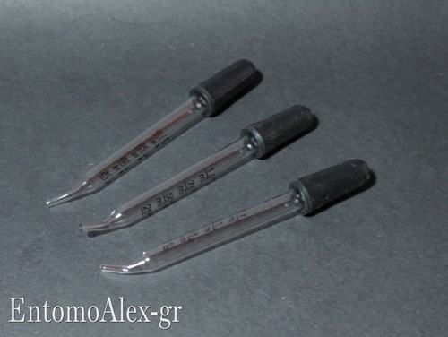 Pipette pasteur pz - pasteur,