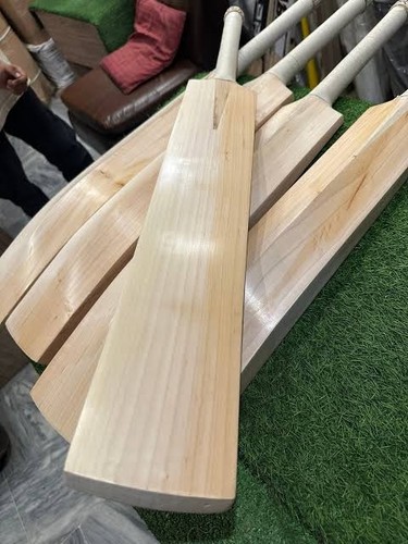 Mazza cricket salice - da,