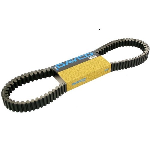 Cinghia trasmissione dayco - cinghia,