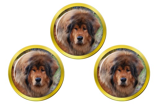 Tibetano mastino palla golf - tibetano,