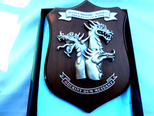 esercito italiano ww1 ww2 coloniale ufficiale scuola militare teuliè milano cres